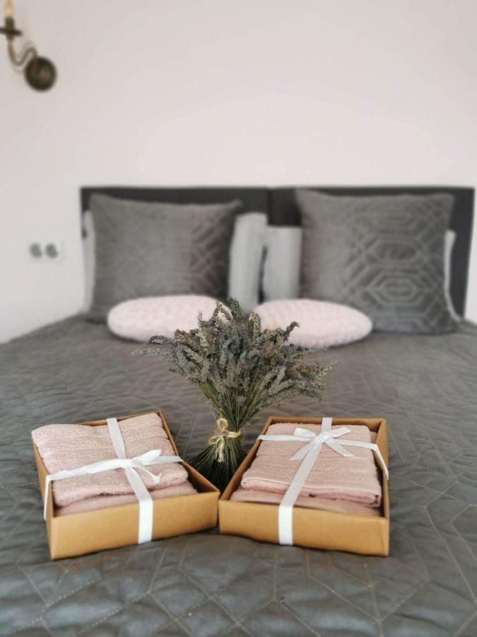 Appartements Vallee Verte Razac-sur-lʼIsle Eksteriør billede